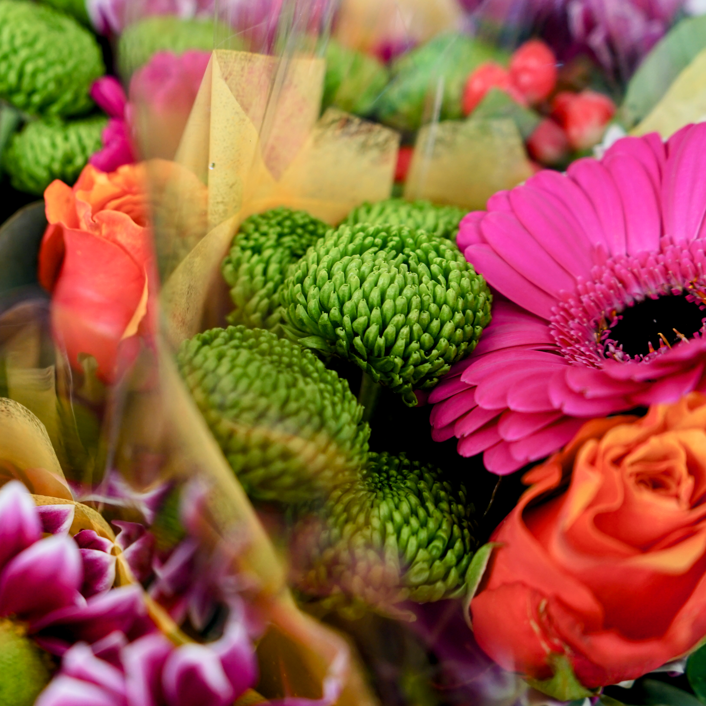 10 Stem Vibrant Bouquet (10 Bunches)