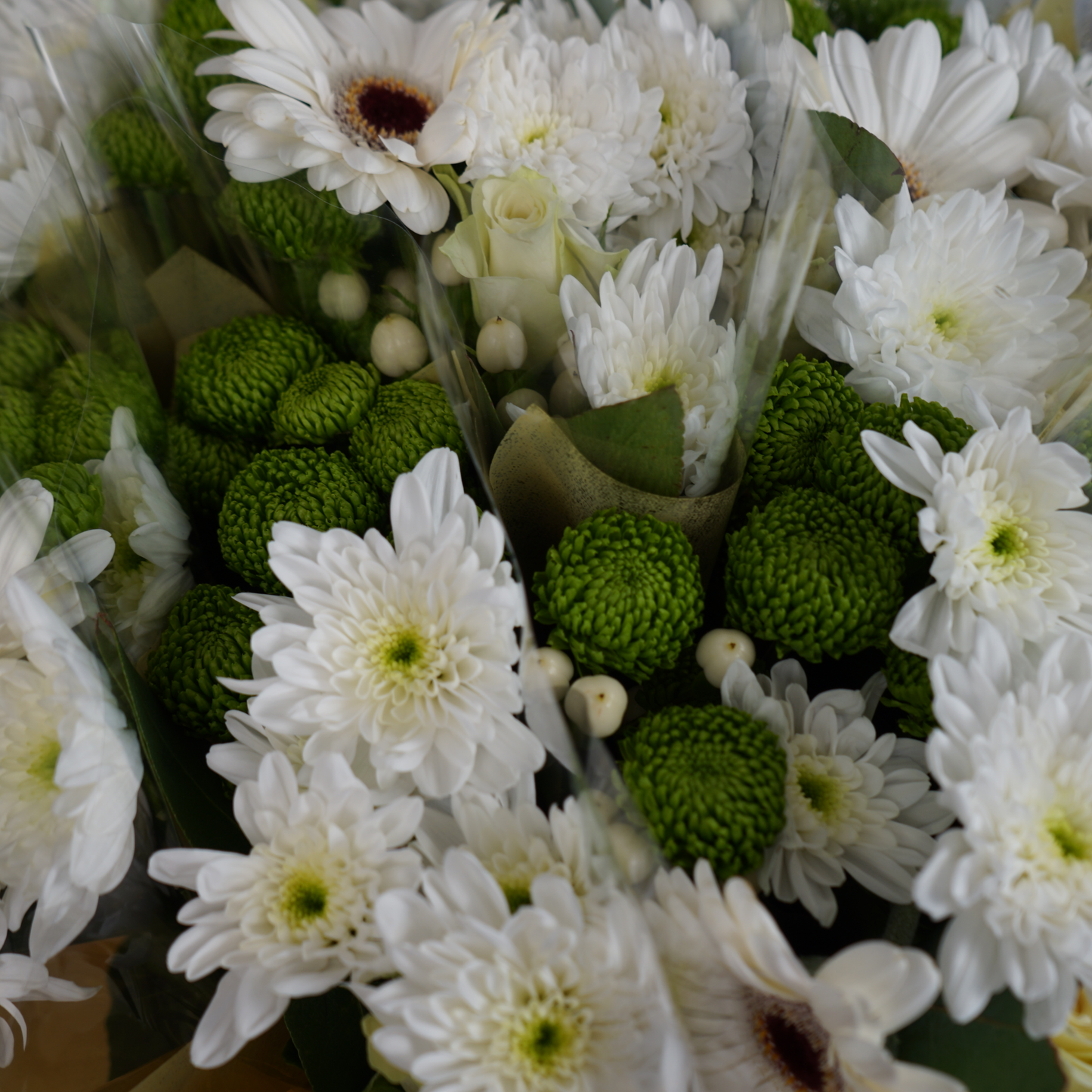 5 Stem White Bouquet (10 Bunches)