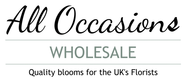 All Occasions Wholesale