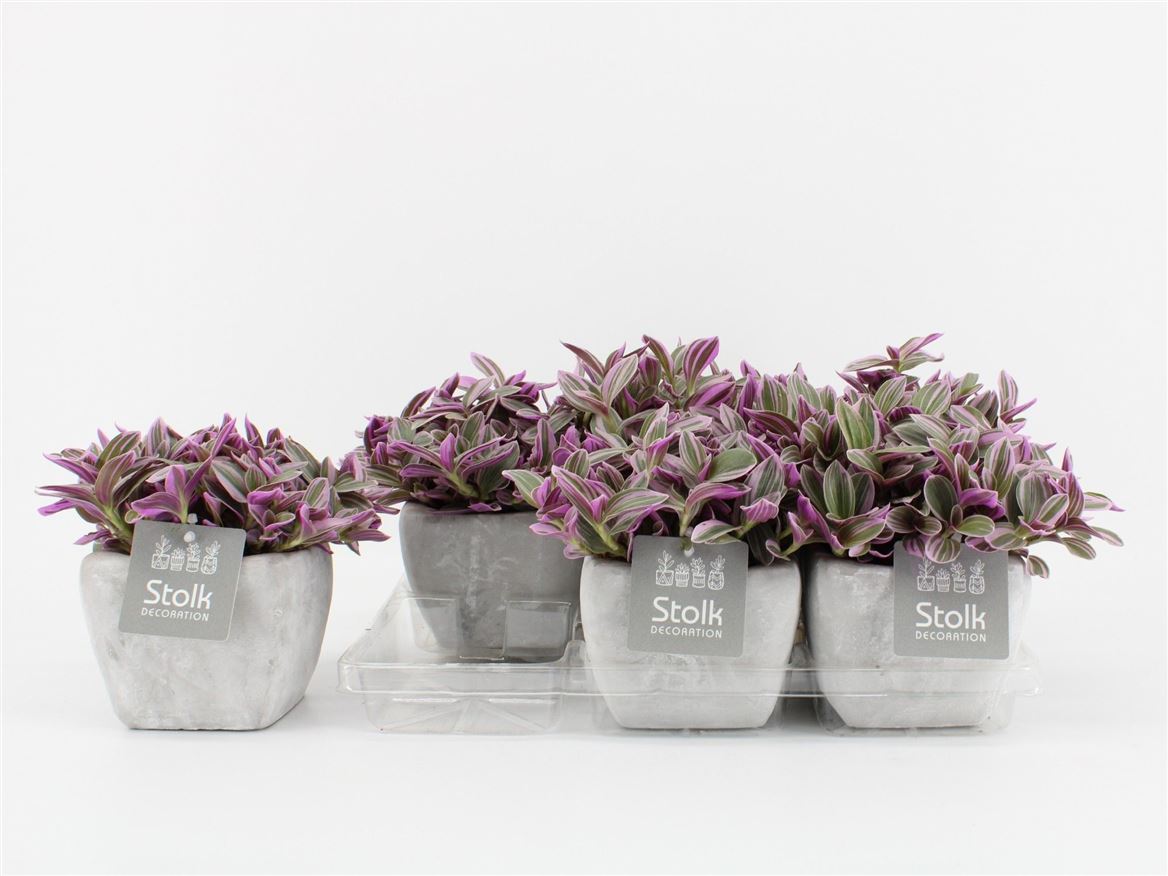 Trad Sweetness Keramiek Stone Look