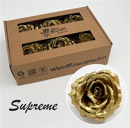 FeedSync:wholesale:bdc240bb5308197b4dfac2433ac76654e1508cd9