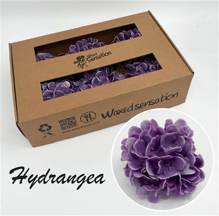 FeedSync:wholesale:f458ad1d1bdb76991c2a89ad2f158a02db6fe2b3