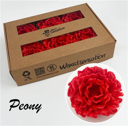 FeedSync:wholesale:9f2450046de9f7cacda1c2dda50ef987985e5b30