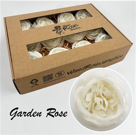 FeedSync:wholesale:beae68ffb64699e09fe15e5e9cd3f26214edf36c