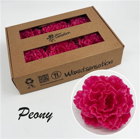 FeedSync:wholesale:44c37c32238c205ccc6f06695e37752c5a40ff6b