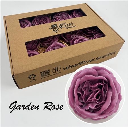FeedSync:wholesale:91e7da66b12d6b8b1b630e096eb1ff5119a1e488