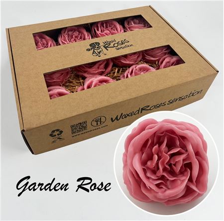 FeedSync:wholesale:d60c65c3d9a6597efc924584b85434fc2e24efce