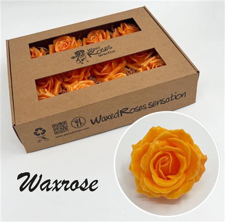 FeedSync:wholesale:47b091981ffe11555a66d00d72c9522cbda538f0