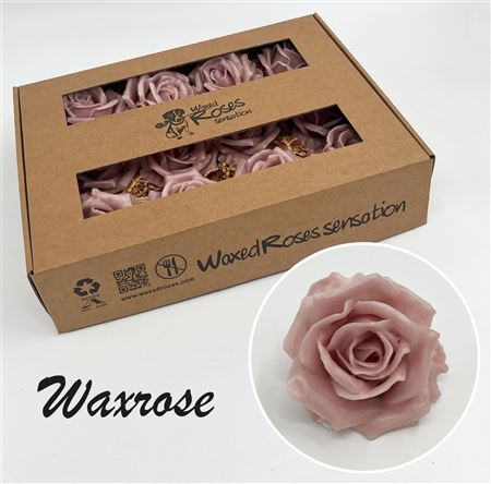 FeedSync:wholesale:9906d4d7ae6b51af1f1cfc16acb305ee181d85ff