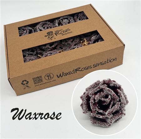 FeedSync:wholesale:9e166bb470582ada15aabf3e77dc0657b27879f1