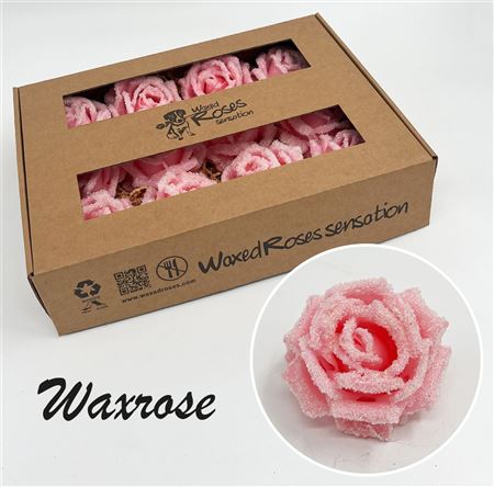 FeedSync:wholesale:a07458d6584a3f6dcd8ad957d7b68c428febcb54