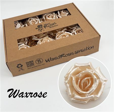 FeedSync:wholesale:70b3f6eb956261cd8923121d31d61f2314e1d636