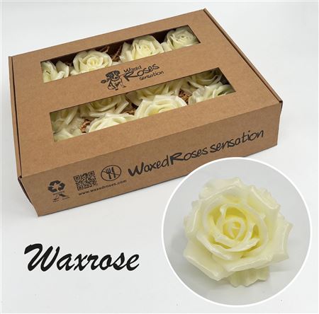 FeedSync:wholesale:26dfc6094759442a2bafc251b59bdd5e0250e273