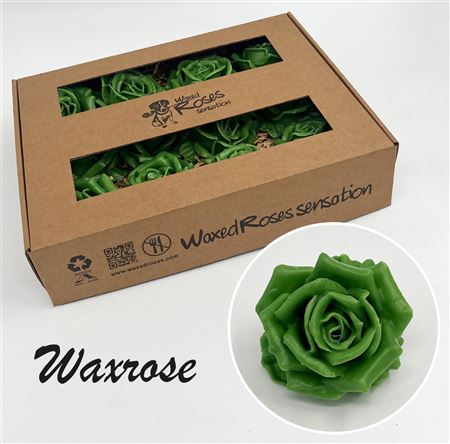 FeedSync:wholesale:ad8f550bb117537b7ffda39a5ded1bea27149157