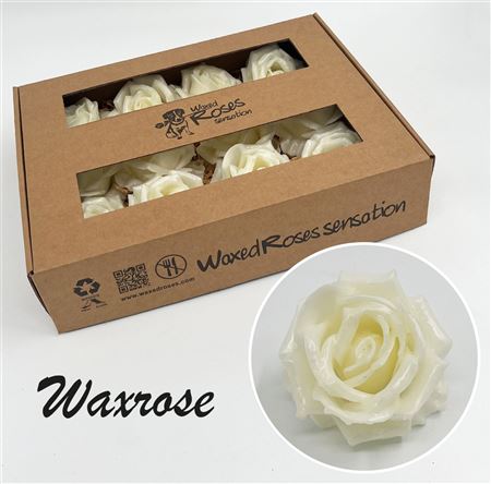FeedSync:wholesale:58a08ea92fab8e1f7b99394e75e6c1d5ed4ba3e2