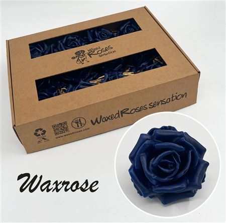 FeedSync:wholesale:79163e6a1047afd59f95db96254e3575b9958ca8