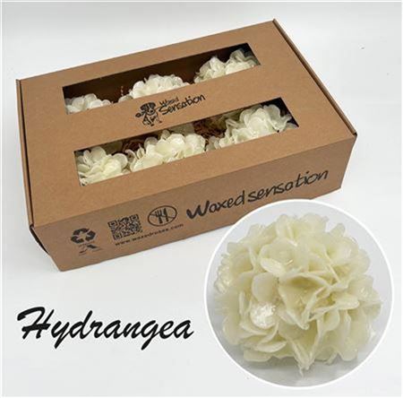 FeedSync:wholesale:014a79cb4aef7208c72fcfc9406c830d0bfbe2bb
