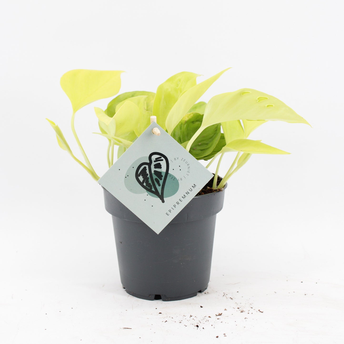 Epipr Champs Élysées