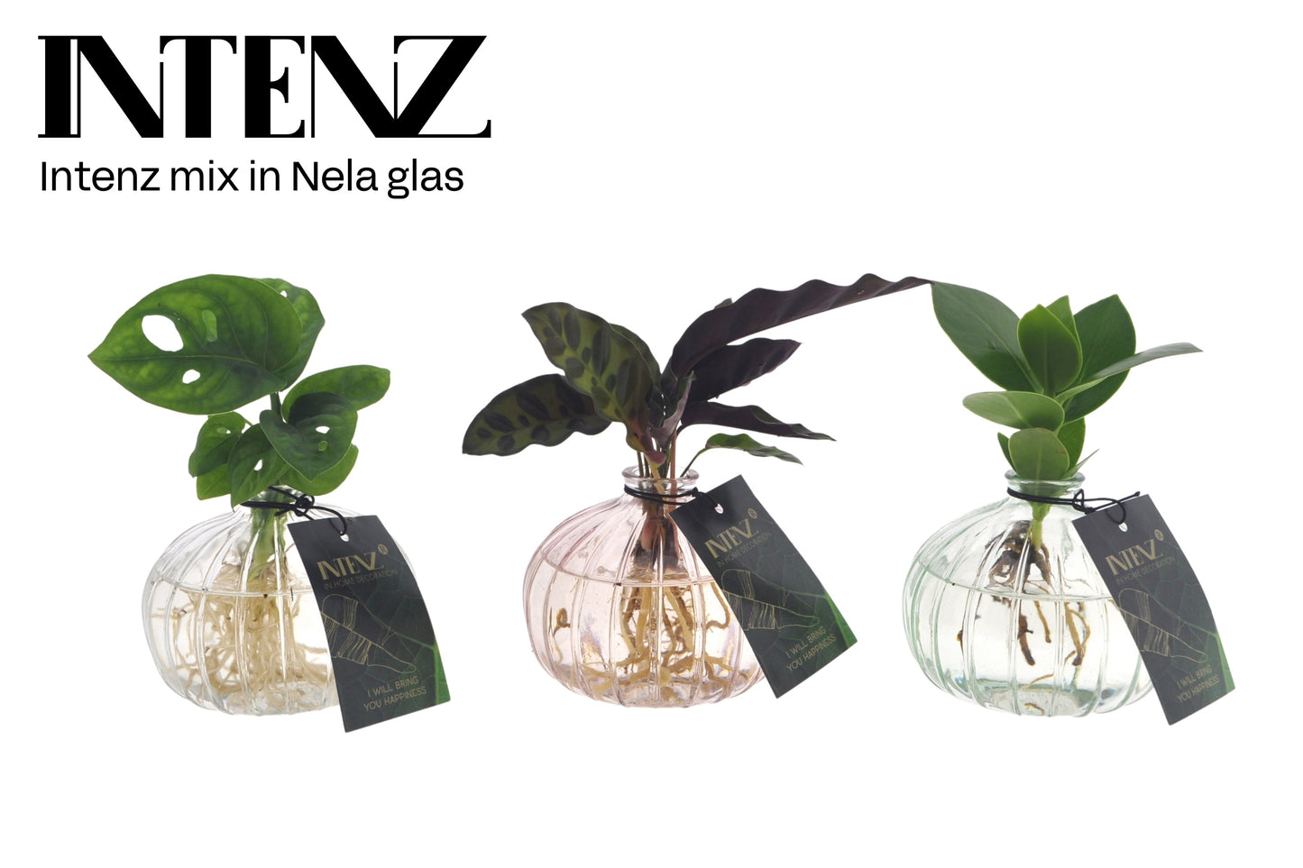 Opm Intenz Gemengd Glas Nela