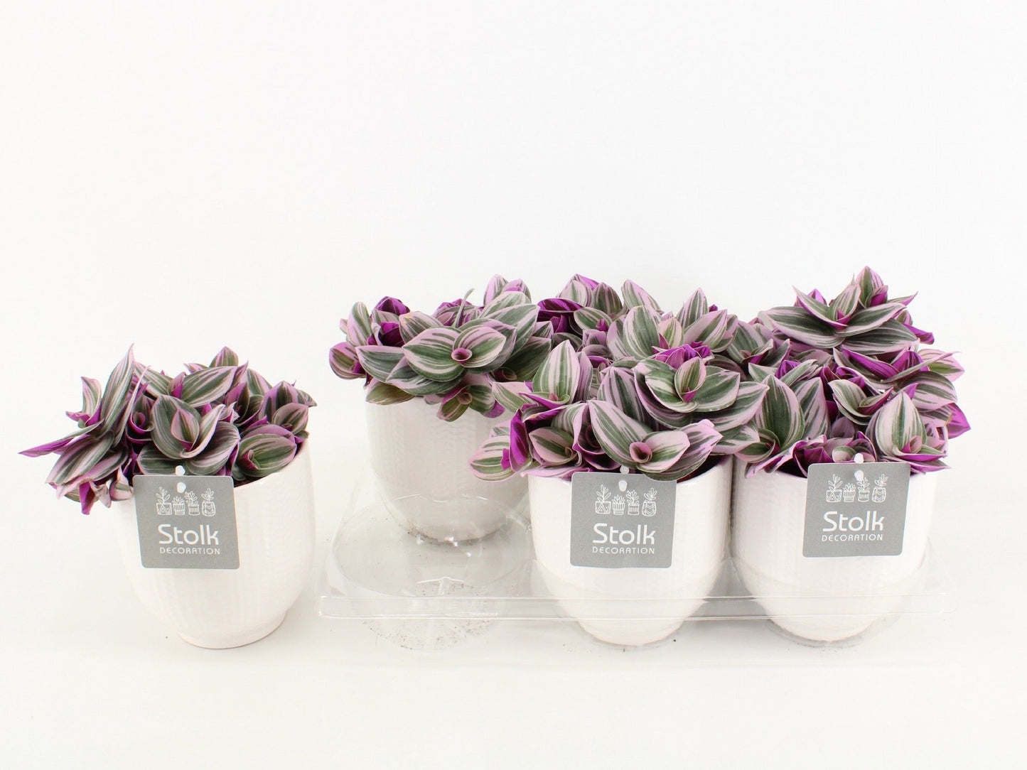 Trad Nanouk Keramiek Liv