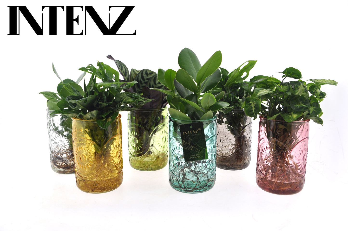 Opm Intenz Gemengd Glas Ibiza