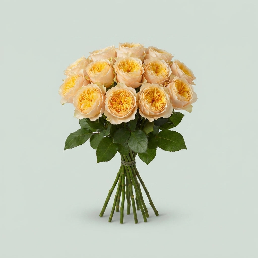 Rose - Rosa - Golden Vuvuzela