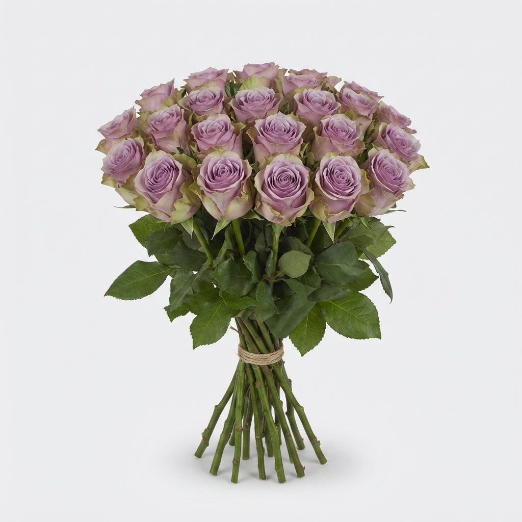 Rose - Rosa - Samantha's Bridal