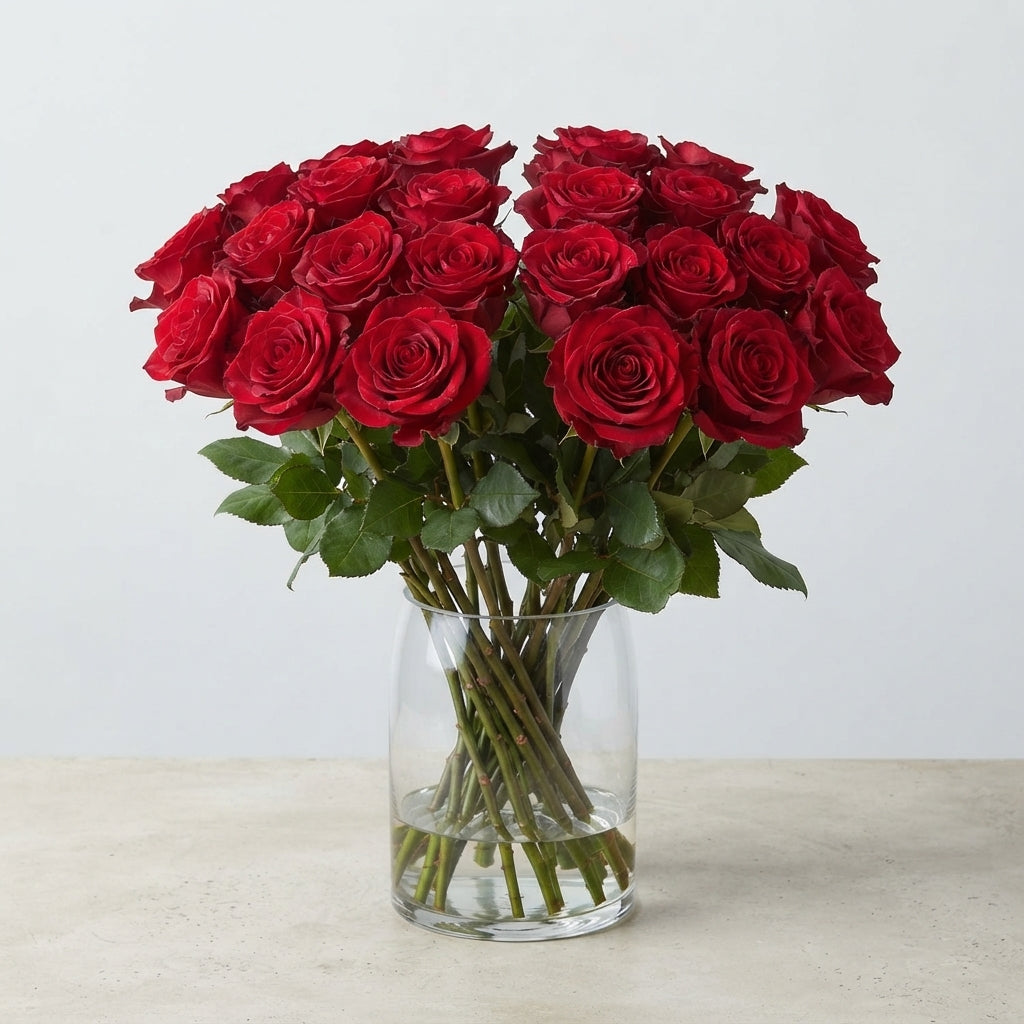 FeedSync:wholesale:c0474d3a9e58a8f056f53242591b124623a7bf77
