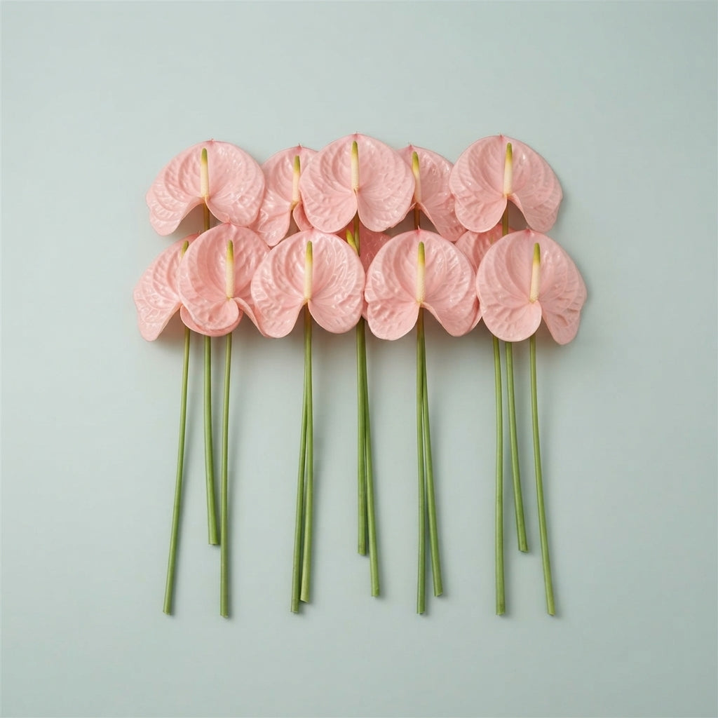 Pink Anthurium Kudoro Cut Flowers – 45cm Stems
