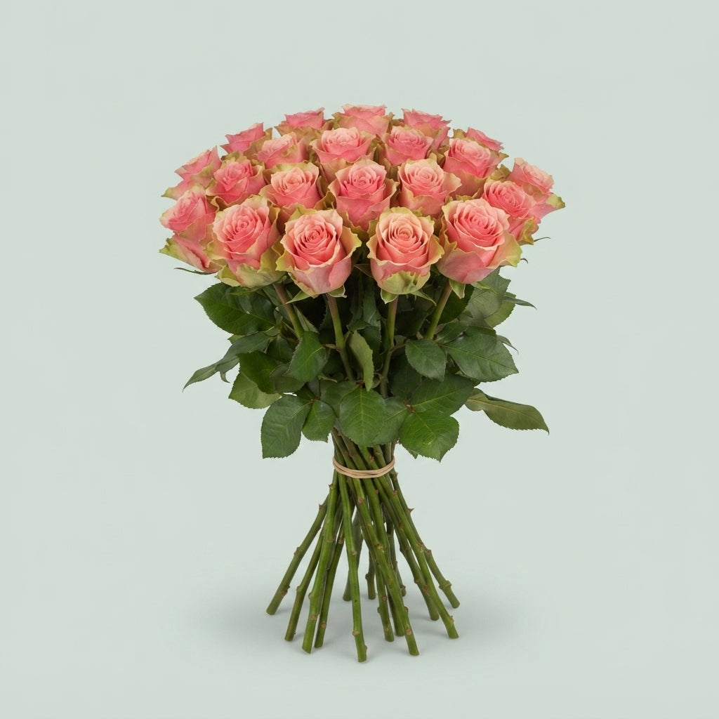 Rose - Rosa - Belle Rose
