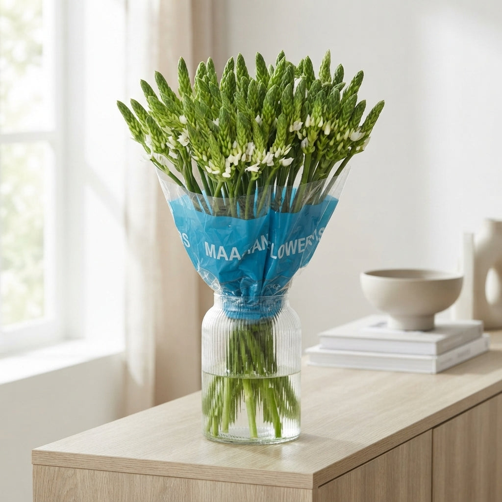 White Ornithogalum ‘Mount Fuji’ – 45cm Stems