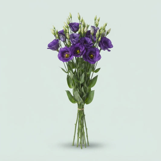 Lisianthus Botanic Blue