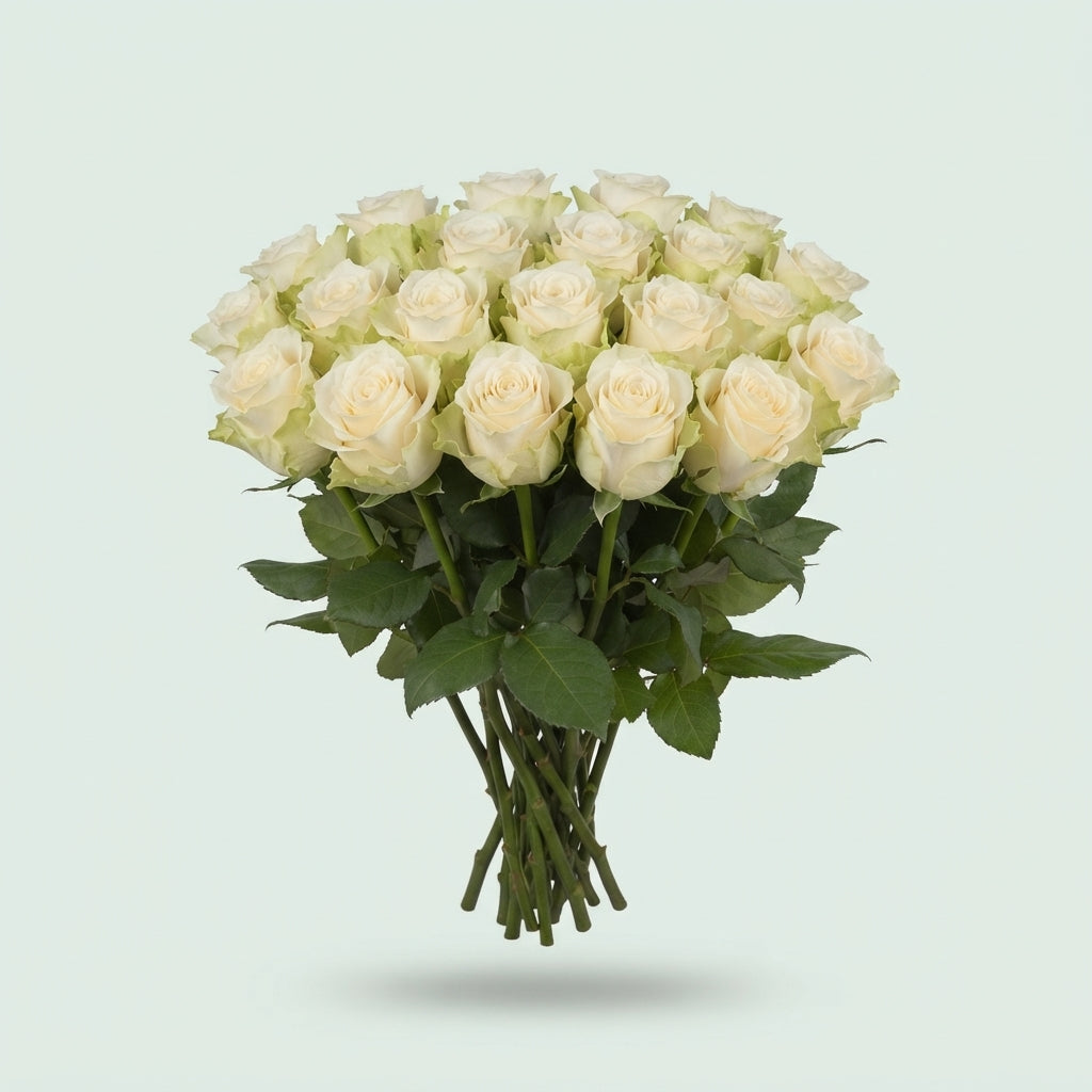 Rose Top Fair