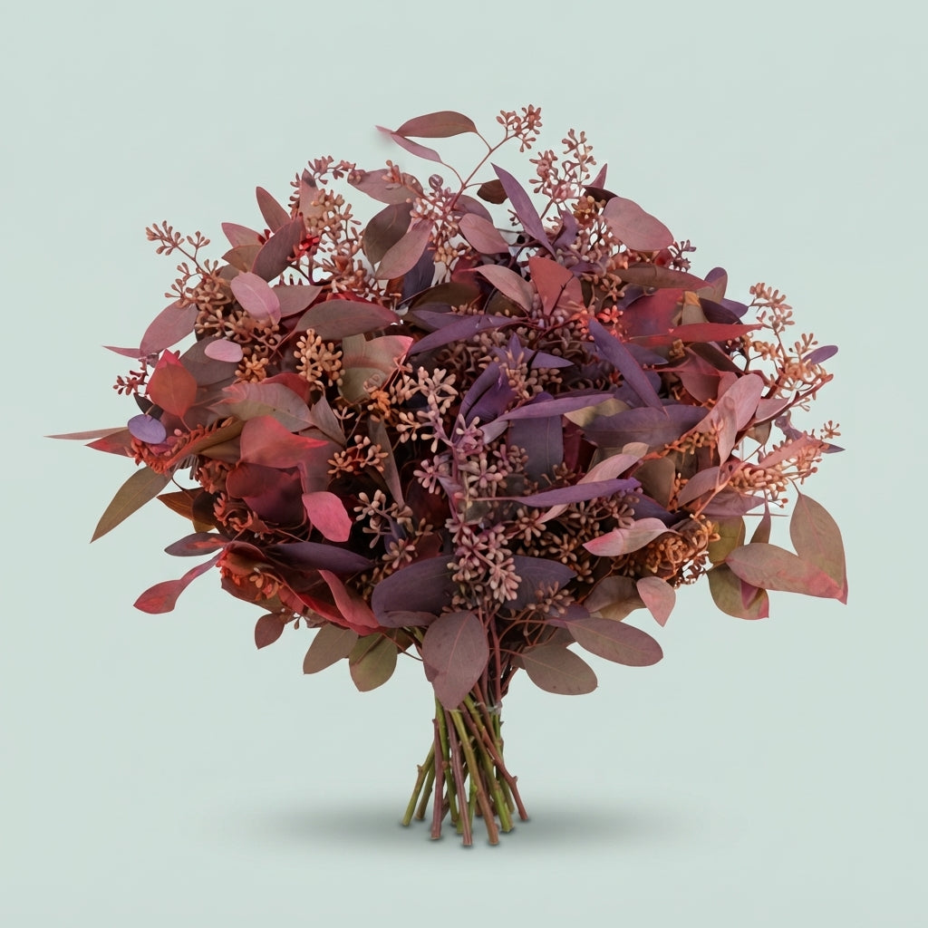 Eucalyptus - Eucalyptus - Per Bunch