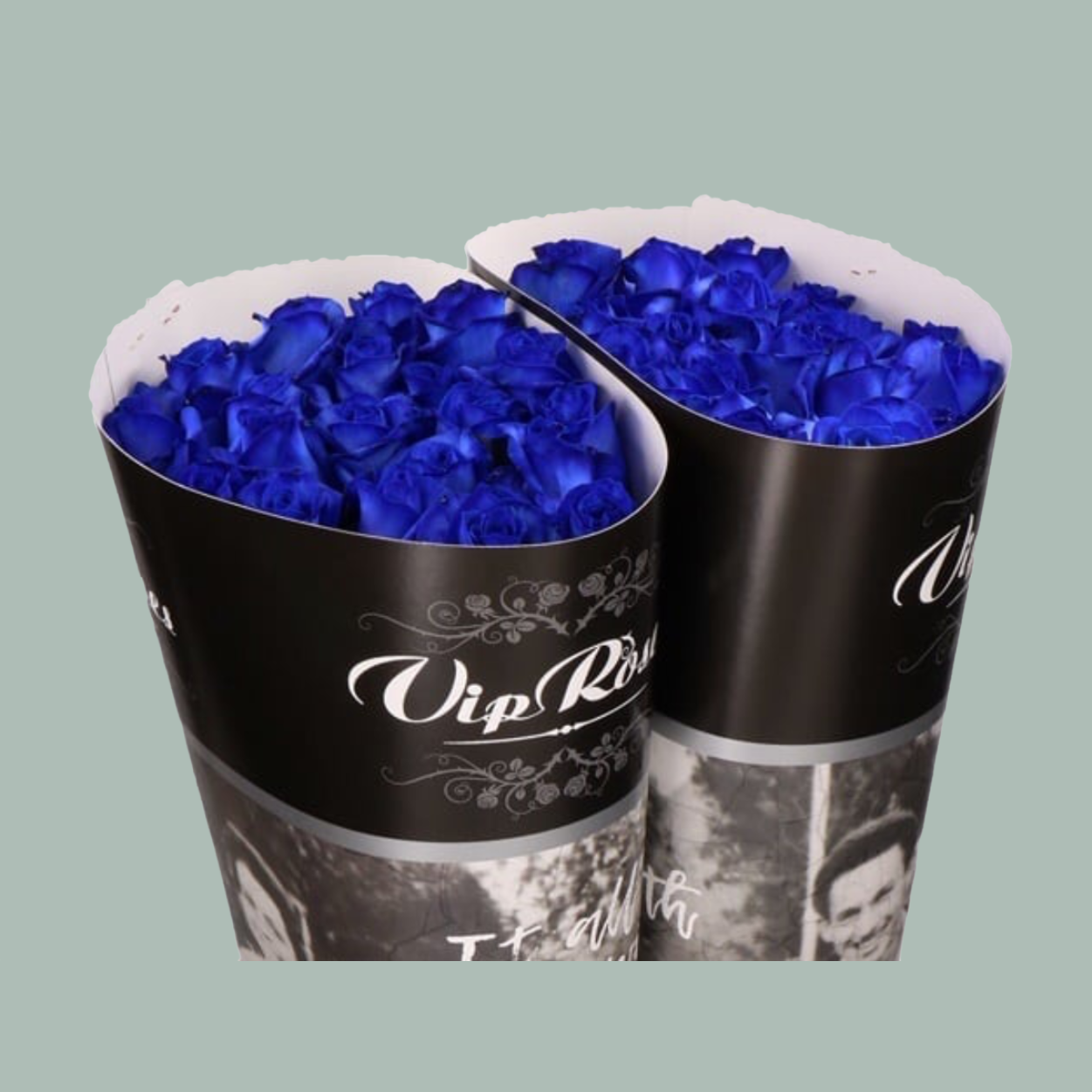 Rose Dyed Blue (20 Stems)