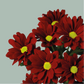 Chrysanthemum Spray Merlot (20 Stems)