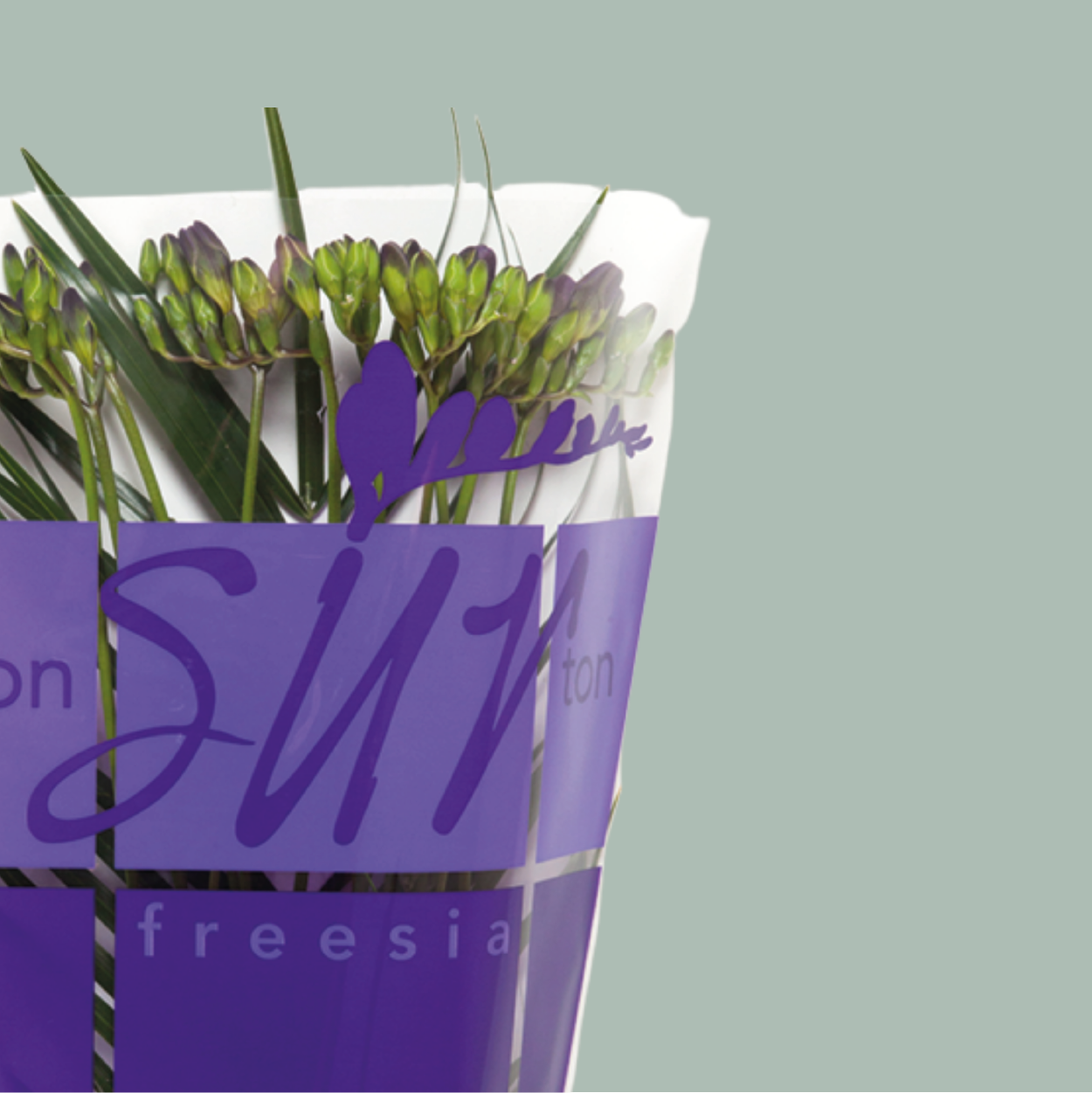 Freesia Mixed Bouquets