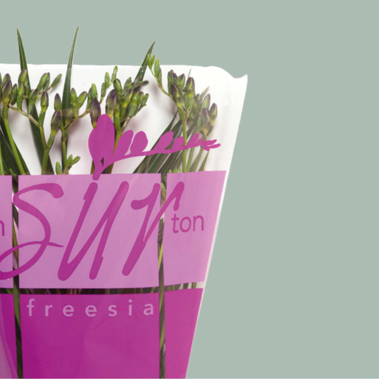 Freesia Mixed Bouquets