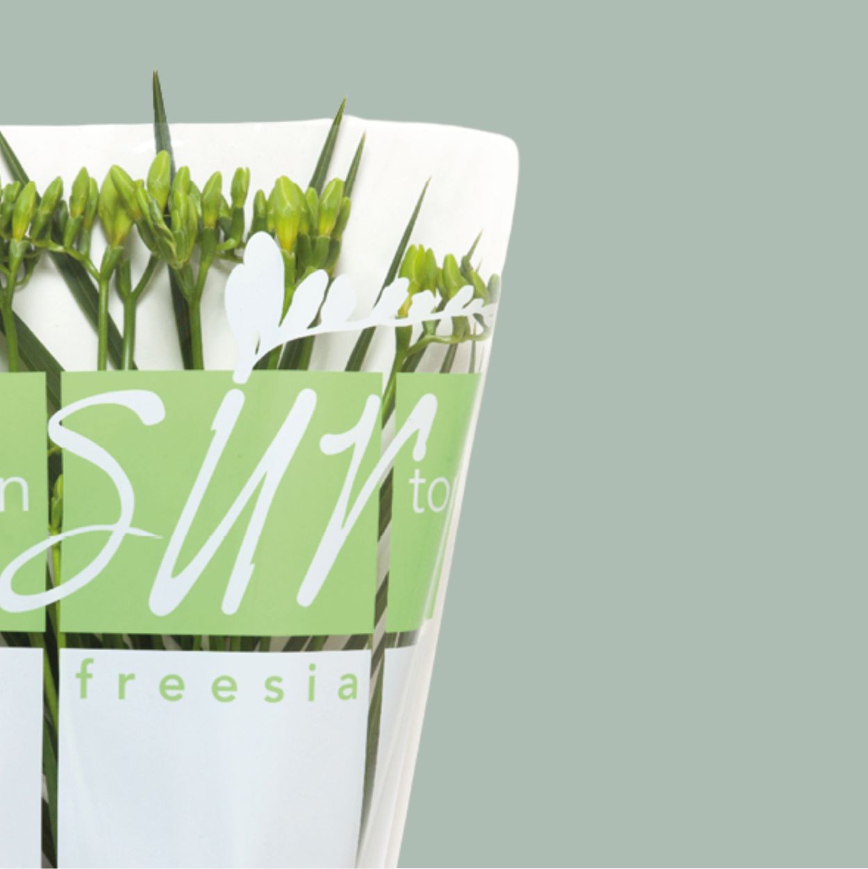 Freesia Mixed Bouquets