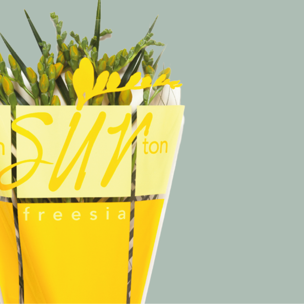 Freesia Mixed Bouquets