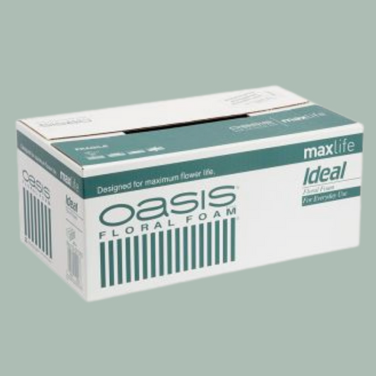 Ideal Floral Foam Maxlife Bricks - Box of 20