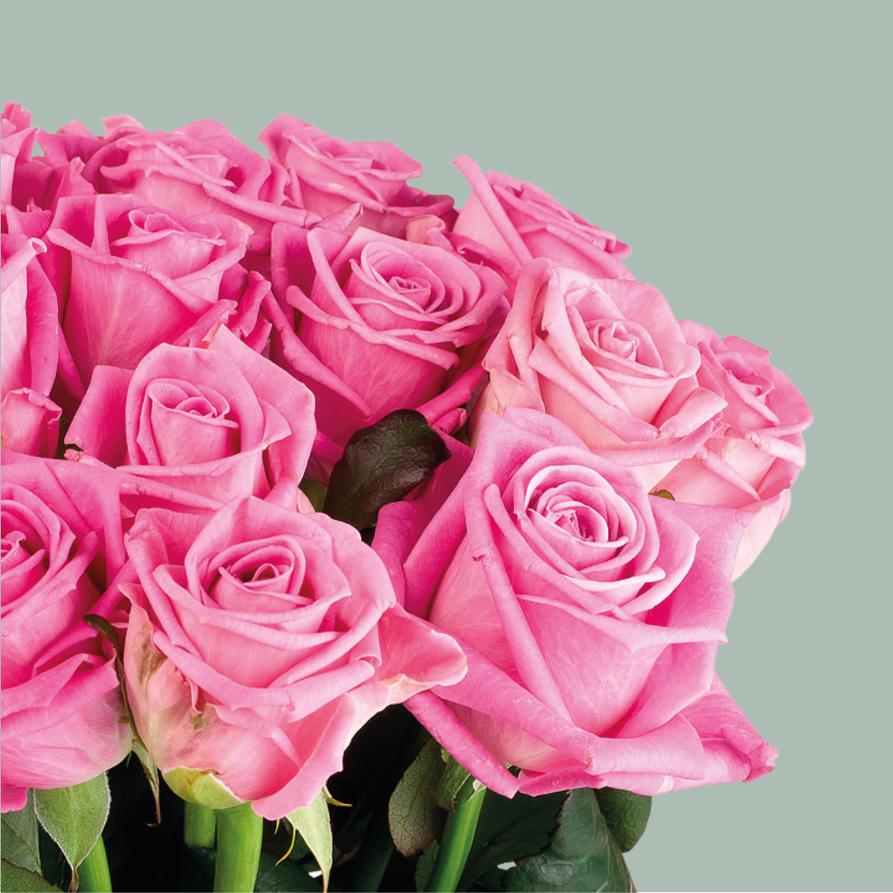 Rose Mixed Box (80 Stems)