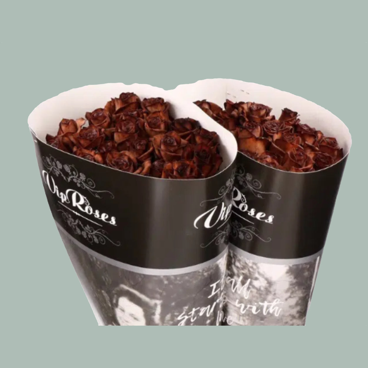 Rose Vendela Dyed Brownies (20 Stems)