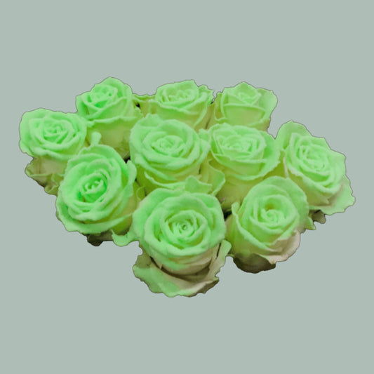 Rose Glow In The Dark (20 Stems)