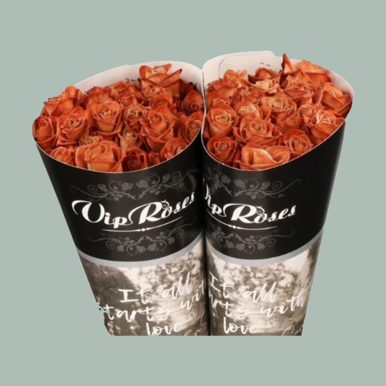 Rose Vendela Dyed Rusty (20 Stems)