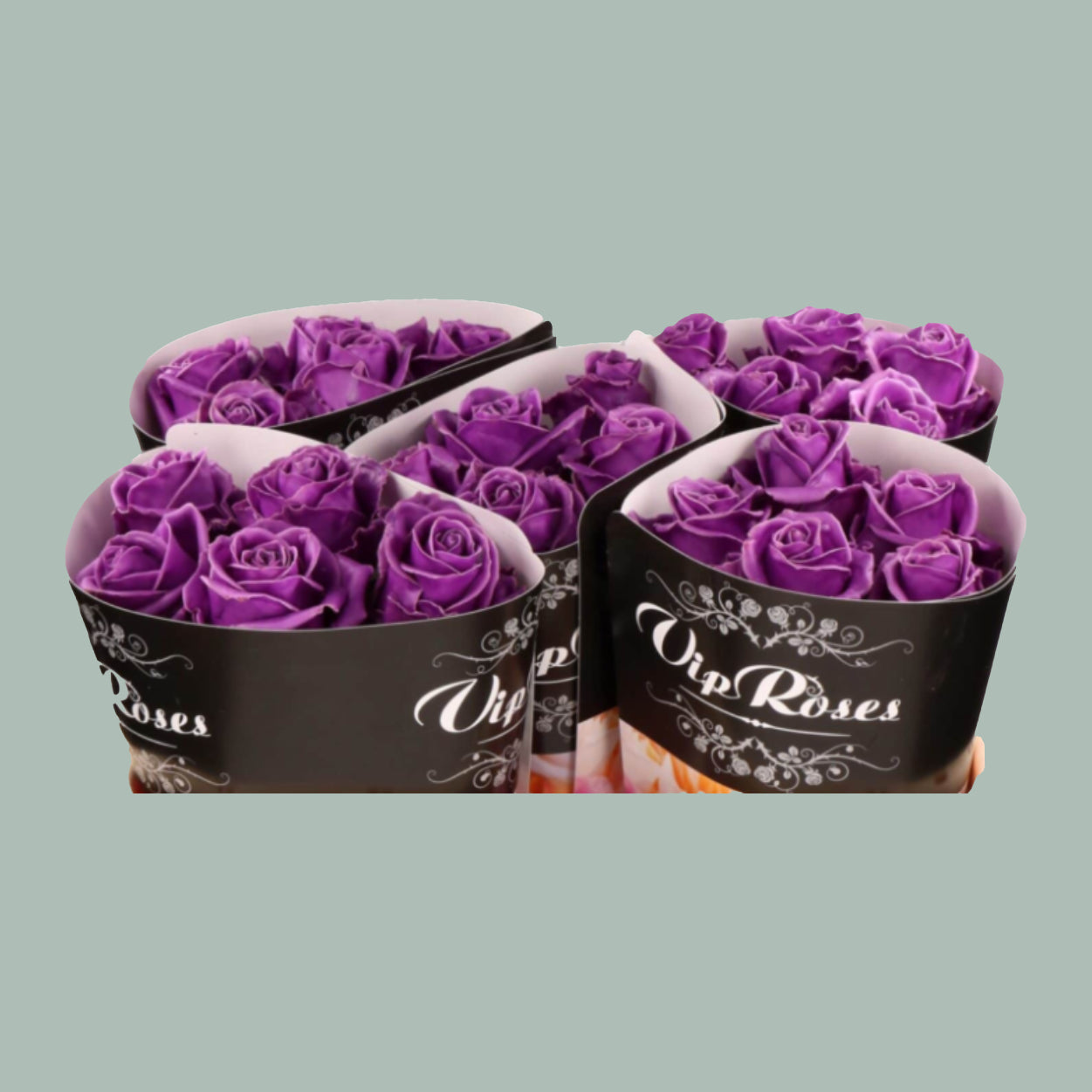 Rose Vendela Wax Purple (20 Stems)
