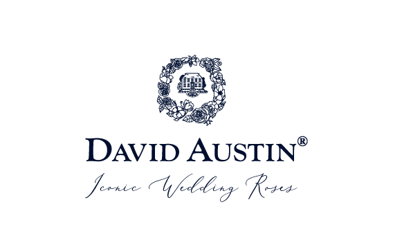 David Austin – All Occasions Wholesale