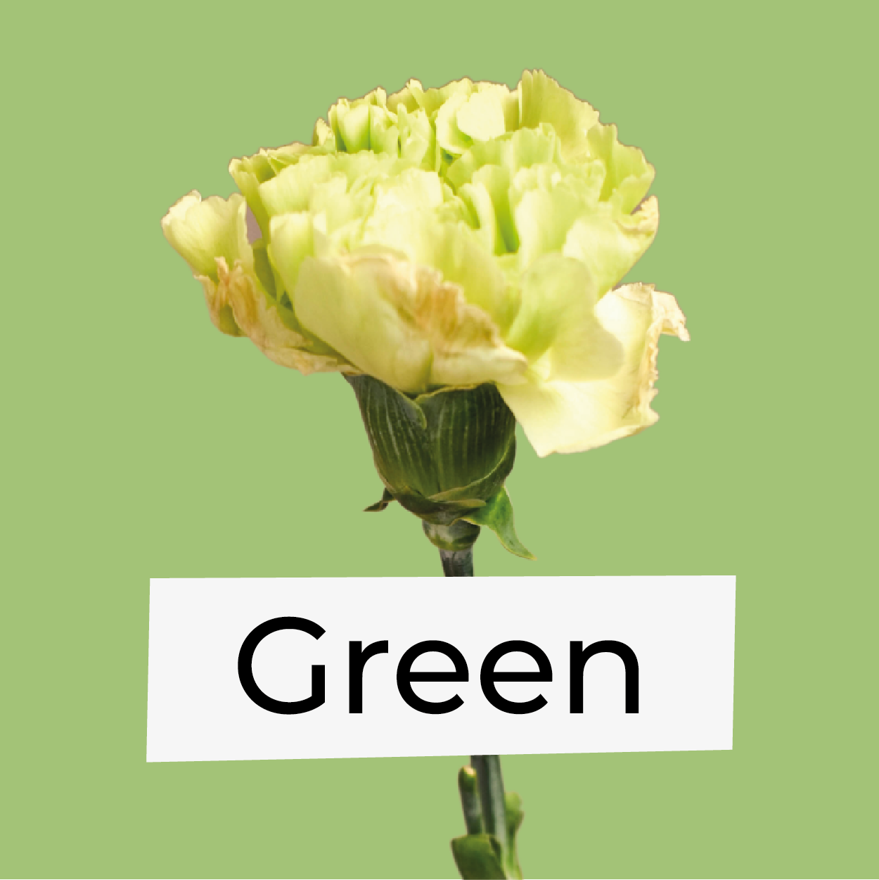 Green Flowers