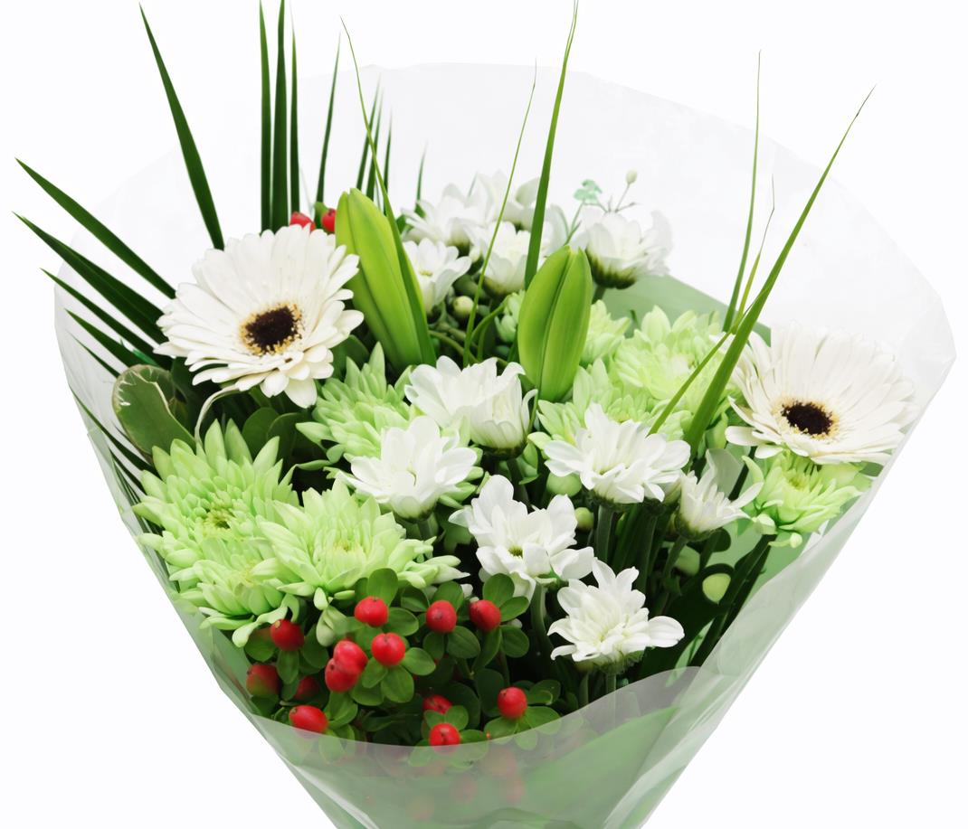 FeedSync:wholesale:044bee9ee76b253970c2fa13c022722ba6d64ebf