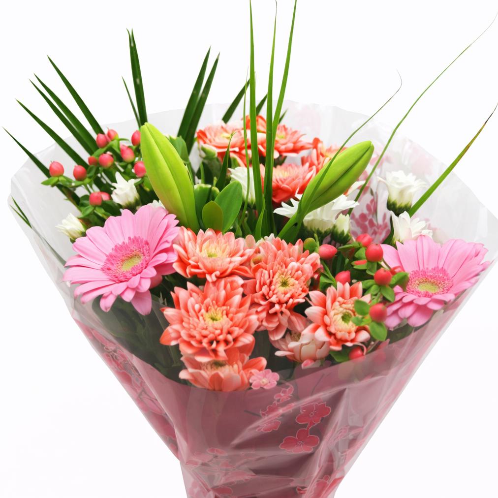 FeedSync:wholesale:31cf6142e91350dd8e7802101530fc46a5f3671e